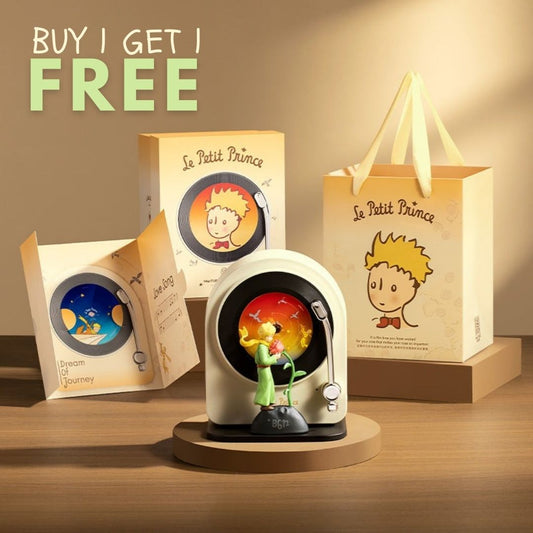 The Little Prince (Le Petit Prince) Vintage Record Player Bluetooth Speaker™️