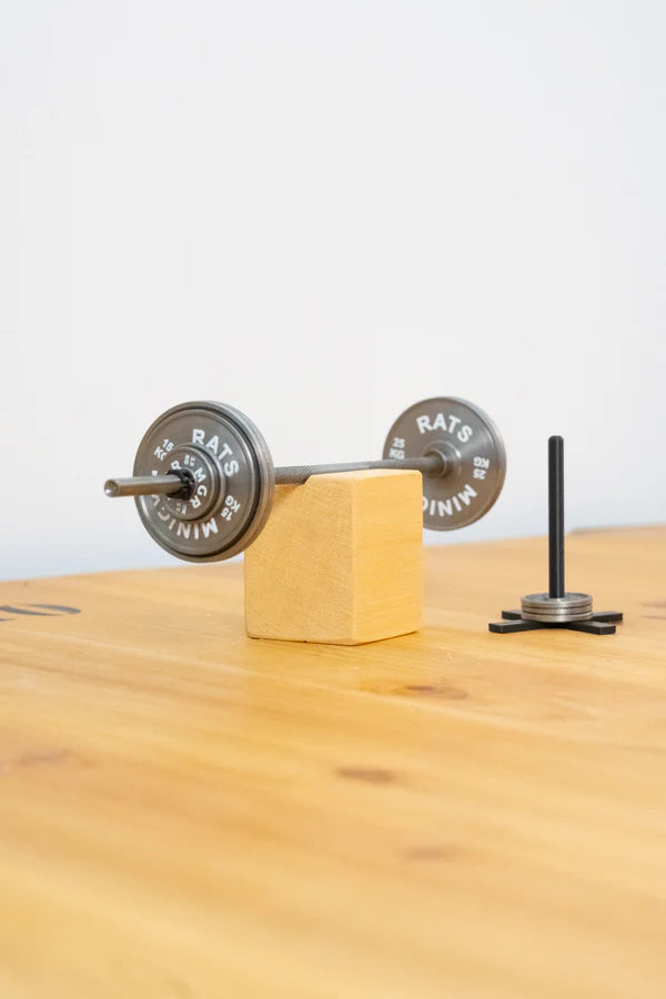DIY Mini Gym Set™️